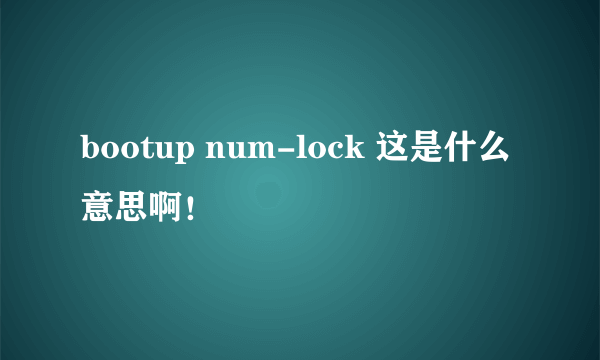 bootup num-lock 这是什么意思啊！