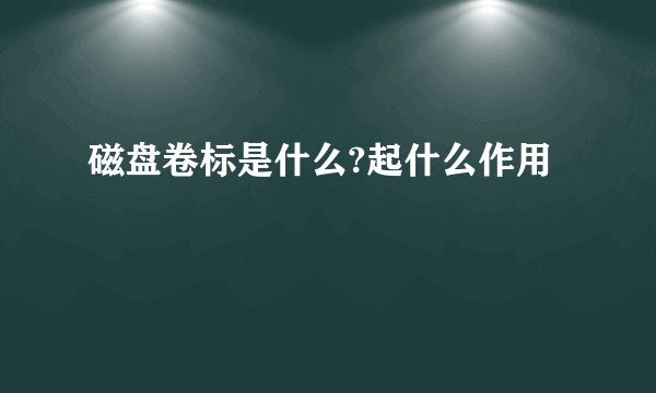 磁盘卷标是什么?起什么作用