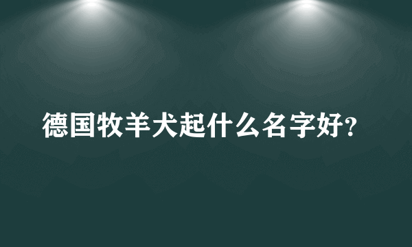 德国牧羊犬起什么名字好？