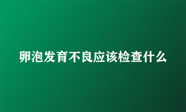 卵泡发育不良应该检查什么