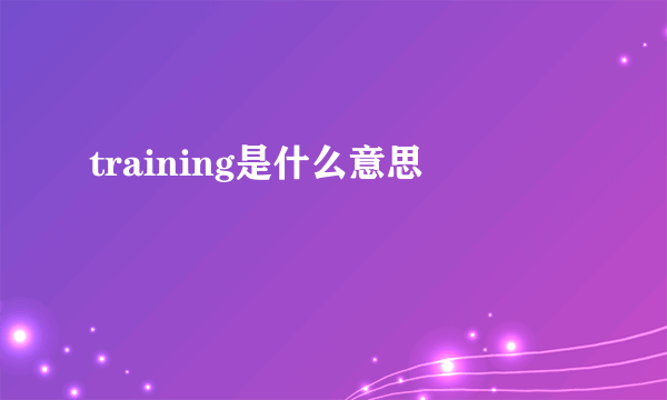 training是什么意思