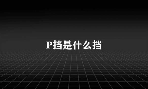 P挡是什么挡