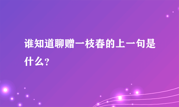 谁知道聊赠一枝春的上一句是什么？