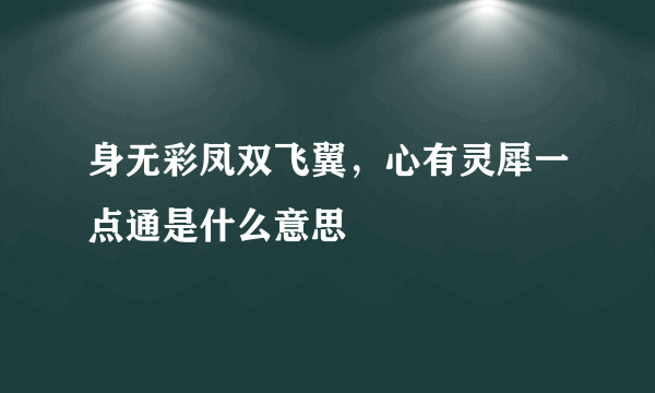 身无彩凤双飞翼，心有灵犀一点通是什么意思