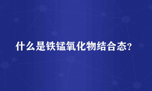 什么是铁锰氧化物结合态？