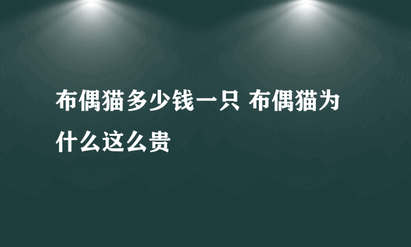 布偶猫多少钱一只 布偶猫为什么这么贵