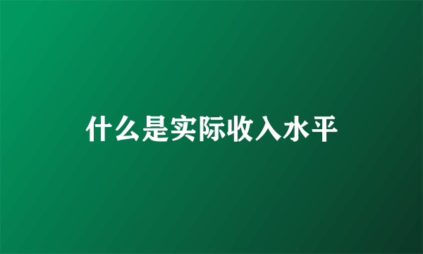 什么是实际收入水平