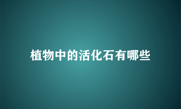 植物中的活化石有哪些