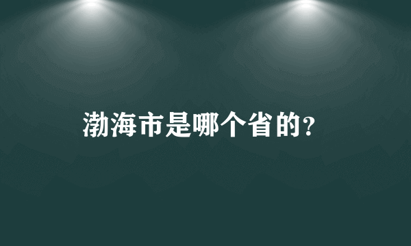 渤海市是哪个省的？