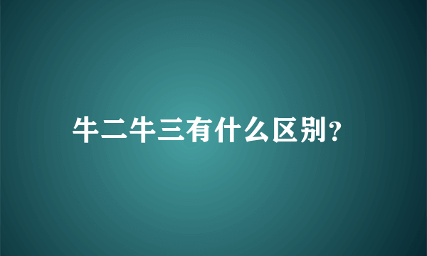 牛二牛三有什么区别？