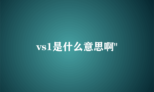 vs1是什么意思啊