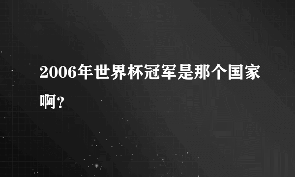 2006年世界杯冠军是那个国家啊？