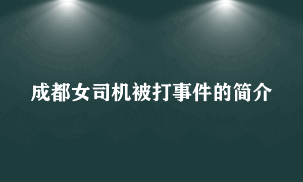 成都女司机被打事件的简介