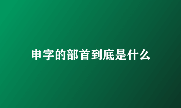 申字的部首到底是什么