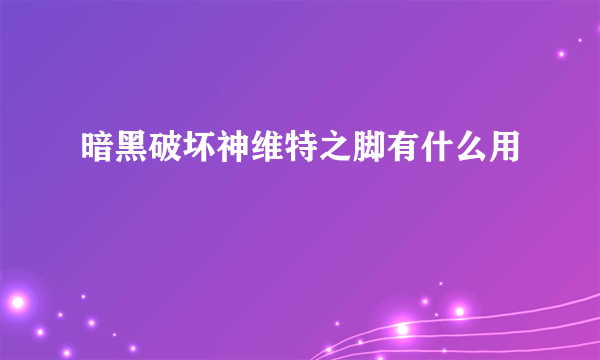 暗黑破坏神维特之脚有什么用