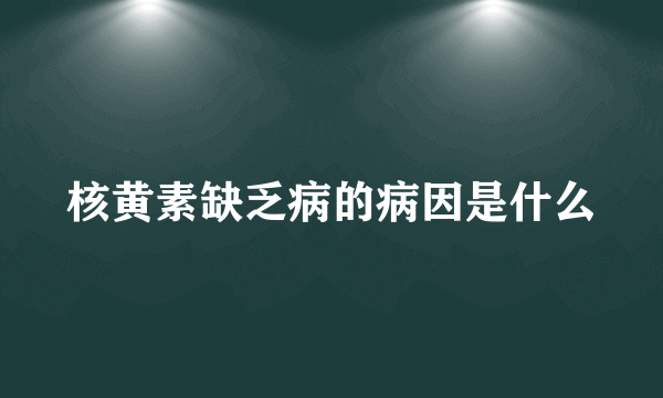 核黄素缺乏病的病因是什么