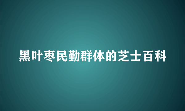 黑叶枣民勤群体的芝士百科