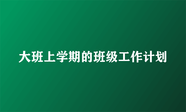 大班上学期的班级工作计划