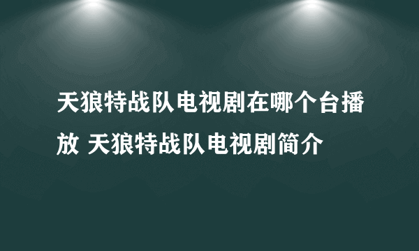 天狼特战队电视剧在哪个台播放 天狼特战队电视剧简介