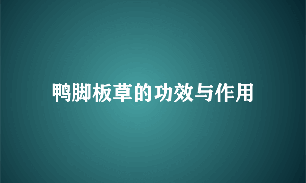 鸭脚板草的功效与作用