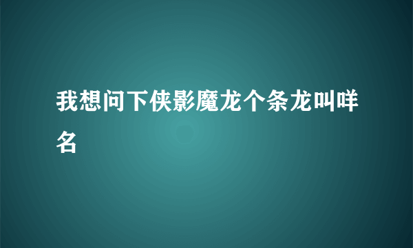 我想问下侠影魔龙个条龙叫咩名