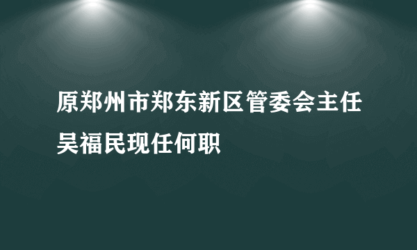 原郑州市郑东新区管委会主任吴福民现任何职