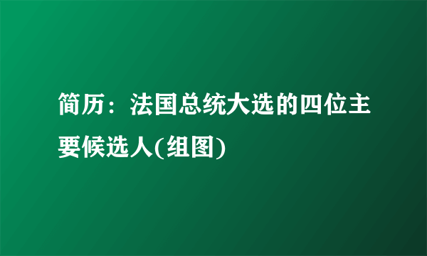 简历：法国总统大选的四位主要候选人(组图)