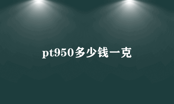 pt950多少钱一克