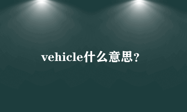 vehicle什么意思？