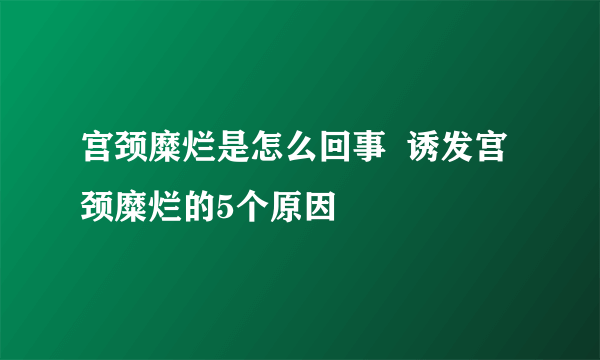 宫颈糜烂是怎么回事  诱发宫颈糜烂的5个原因