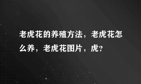 老虎花的养殖方法，老虎花怎么养，老虎花图片，虎？