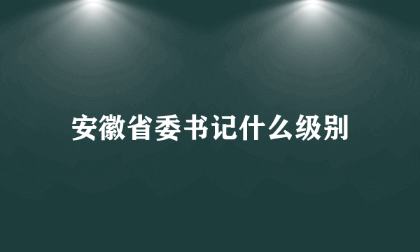 安徽省委书记什么级别