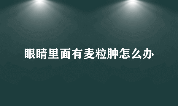 眼睛里面有麦粒肿怎么办