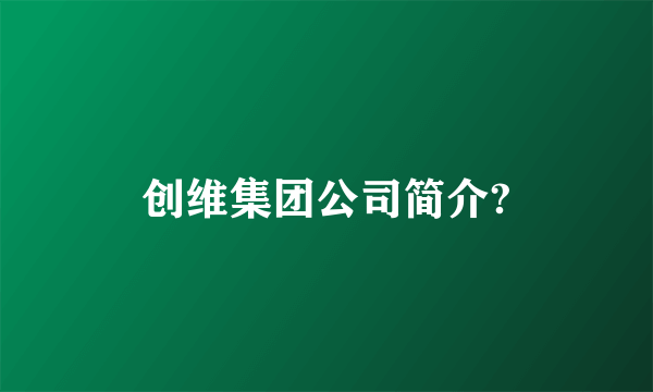 创维集团公司简介?