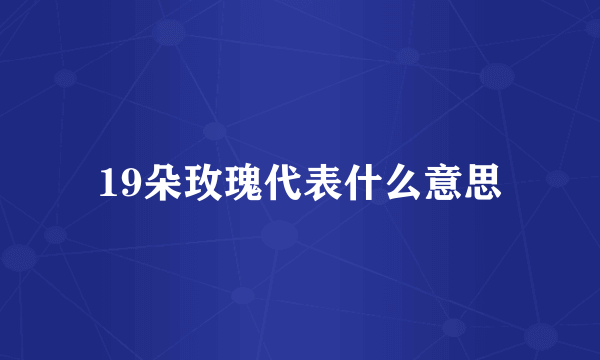 19朵玫瑰代表什么意思