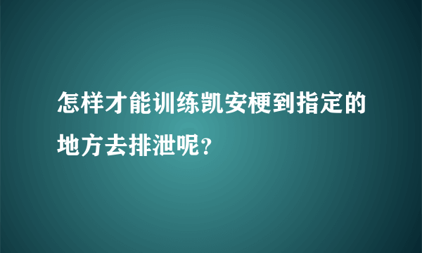 怎样才能训练凯安梗到指定的地方去排泄呢？