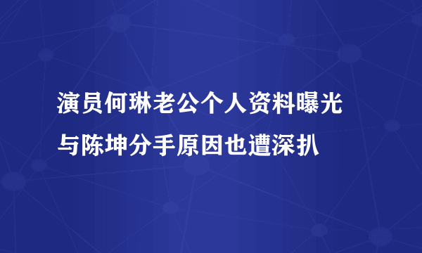 演员何琳老公个人资料曝光 与陈坤分手原因也遭深扒