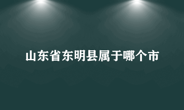 山东省东明县属于哪个市