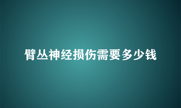 臂丛神经损伤需要多少钱