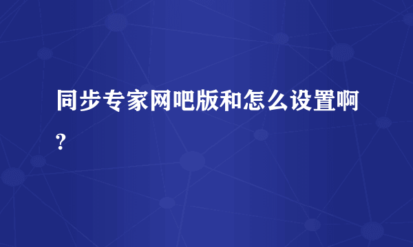 同步专家网吧版和怎么设置啊?