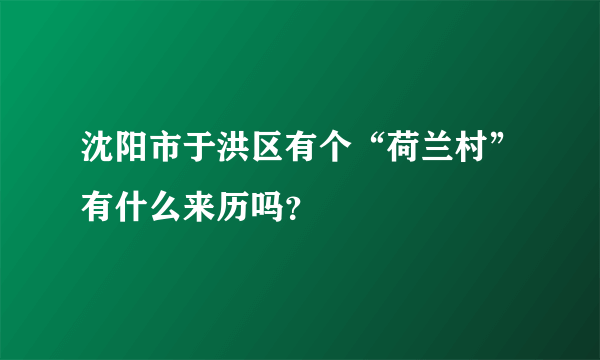 沈阳市于洪区有个“荷兰村”有什么来历吗？