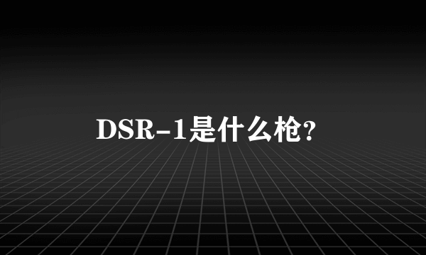 DSR-1是什么枪？