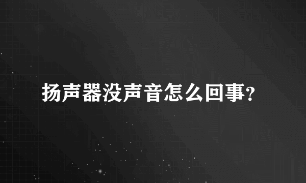 扬声器没声音怎么回事？