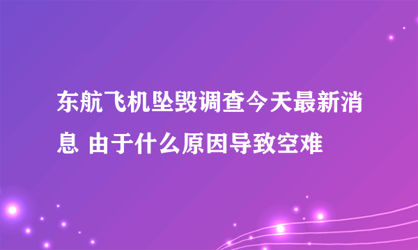 东航飞机坠毁调查今天最新消息 由于什么原因导致空难