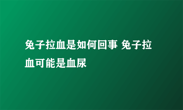 兔子拉血是如何回事 兔子拉血可能是血尿