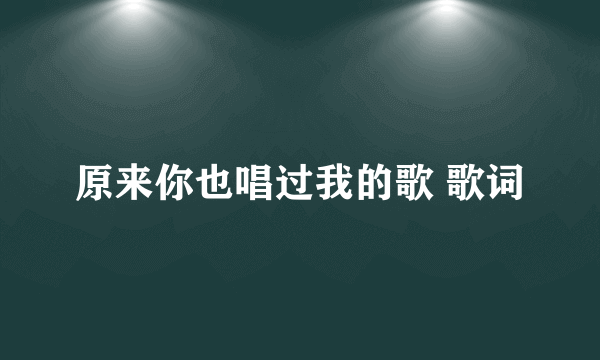 原来你也唱过我的歌 歌词