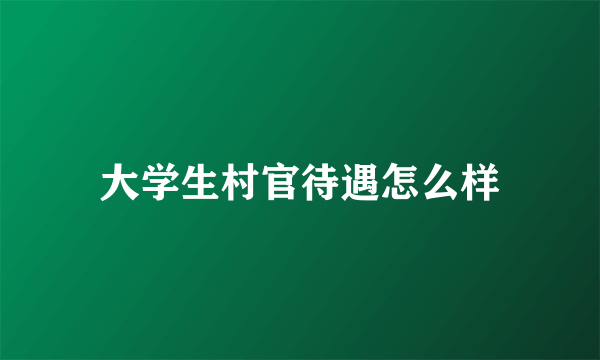 大学生村官待遇怎么样