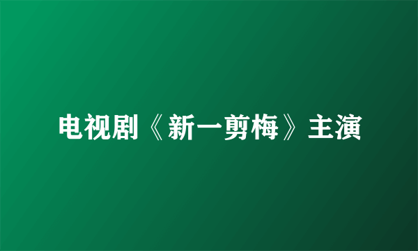 电视剧《新一剪梅》主演