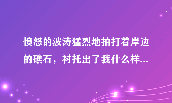 愤怒的波涛猛烈地拍打着岸边的礁石，衬托出了我什么样的心情？