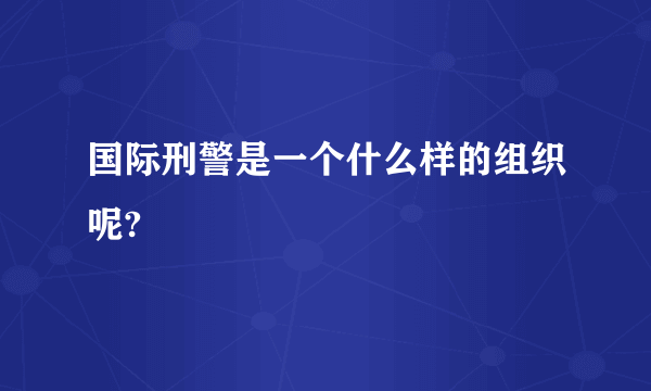 国际刑警是一个什么样的组织呢?